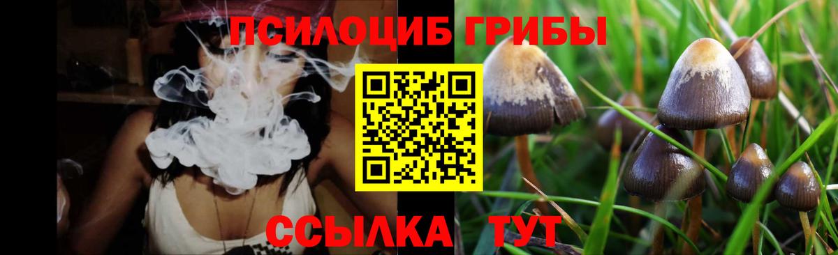 Дмитров  Псилоцибиновые грибы Psilocybe  Галлюциногенные грибы ЛСД  Вход с VPN 